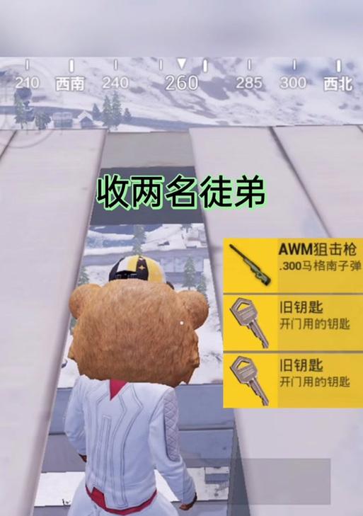 如何设置和平精英小团团语音包？（一键开启沟通无界，让团队战斗更加畅快）